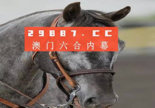 澳門一一碼一特一中準(zhǔn)選今晚，探索真實(shí)有效的選擇與策略，澳門今晚一特一中準(zhǔn)選碼，真實(shí)有效的選擇與策略探索