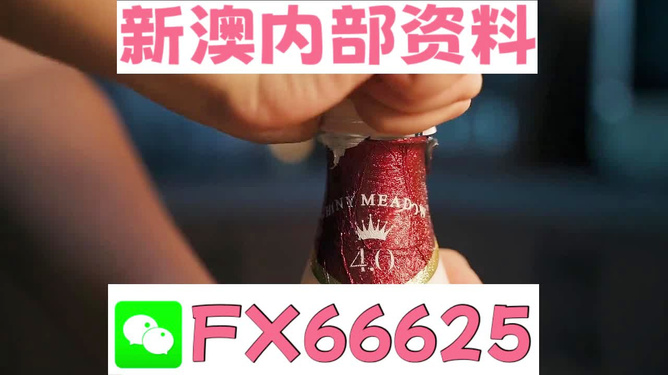 新澳門一碼一碼，揭秘精準(zhǔn)預(yù)測(cè)的秘密與真相，揭秘澳門一碼一碼精準(zhǔn)預(yù)測(cè)的秘密與真相