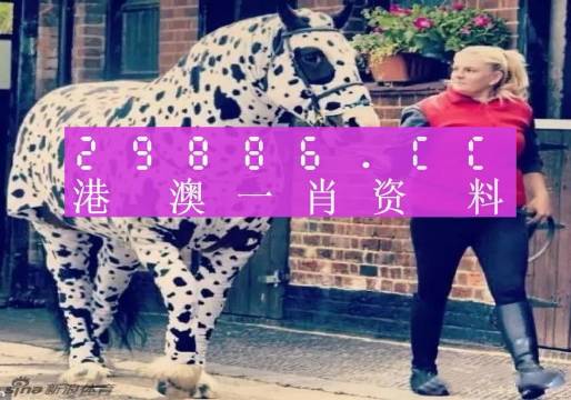 王中王一肖一馬中特，探索關(guān)鍵詞背后的奧秘，關(guān)鍵詞背后的奧秘，王中王一肖一馬中特探索