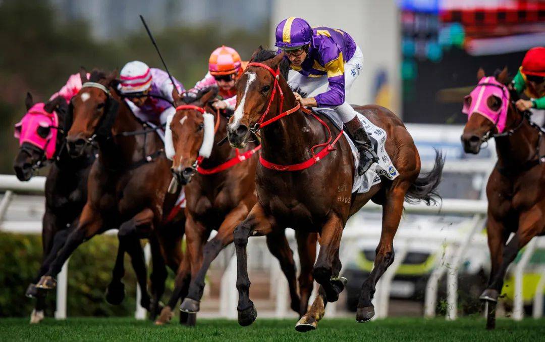 香港賽馬，探索賽馬運(yùn)動(dòng)的激情與榮耀之地——7777788888的獨(dú)特魅力，香港賽馬，激情與榮耀的獨(dú)特魅力探索——777778賽馬運(yùn)動(dòng)之地