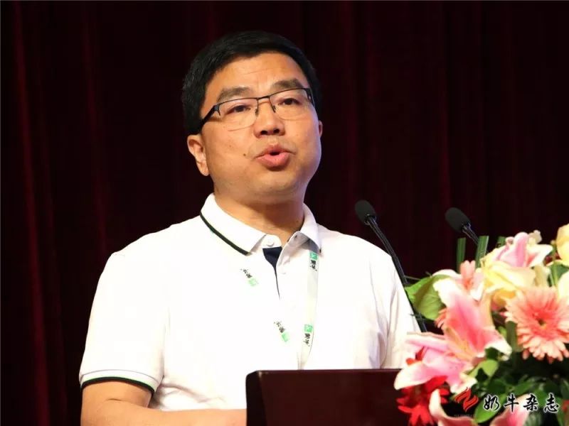 王中王一平特肖，揭秘第100期的秘密與策略，揭秘第100期秘密與策略，王中王一平特肖獨(dú)家解析