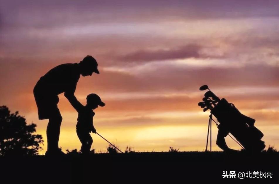 森林高手王中王與神秘生肖——深度解讀背后的故事與秘密，森林高手王中王與神秘生肖，故事背后的深度解讀與秘密探尋