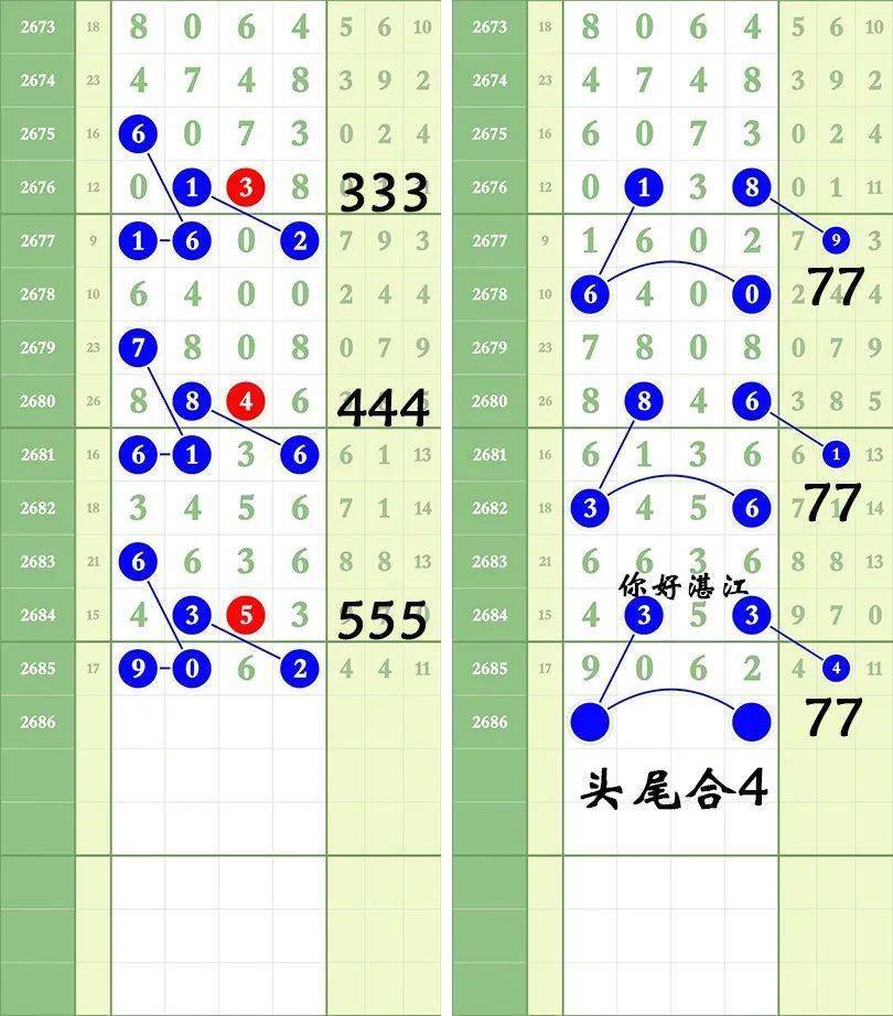 一肖三碼王中王絕密，揭秘背后的秘密與策略洞察，揭秘一肖三碼王中王絕密策略與背后秘密