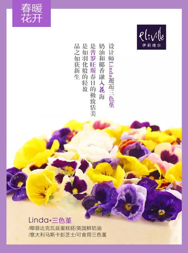 王中王339期指一生肖——探尋背后的秘密與玄機，探尋王中王339期生肖背后的秘密與玄機