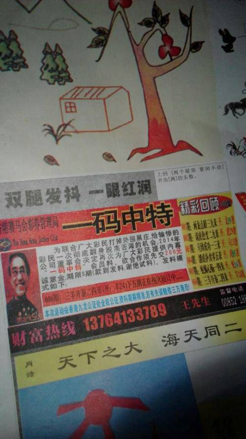 欲錢詩(shī)猜一肖——探尋王中王的奧秘，探尋王中王的奧秘，欲錢詩(shī)猜一肖
