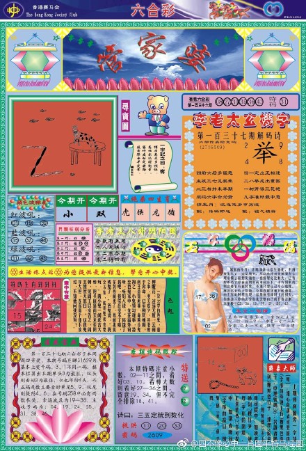 王中王四肖三期開(kāi)特一，深度解析與探索，王中王四肖三期開(kāi)特一，深度剖析與探索揭秘