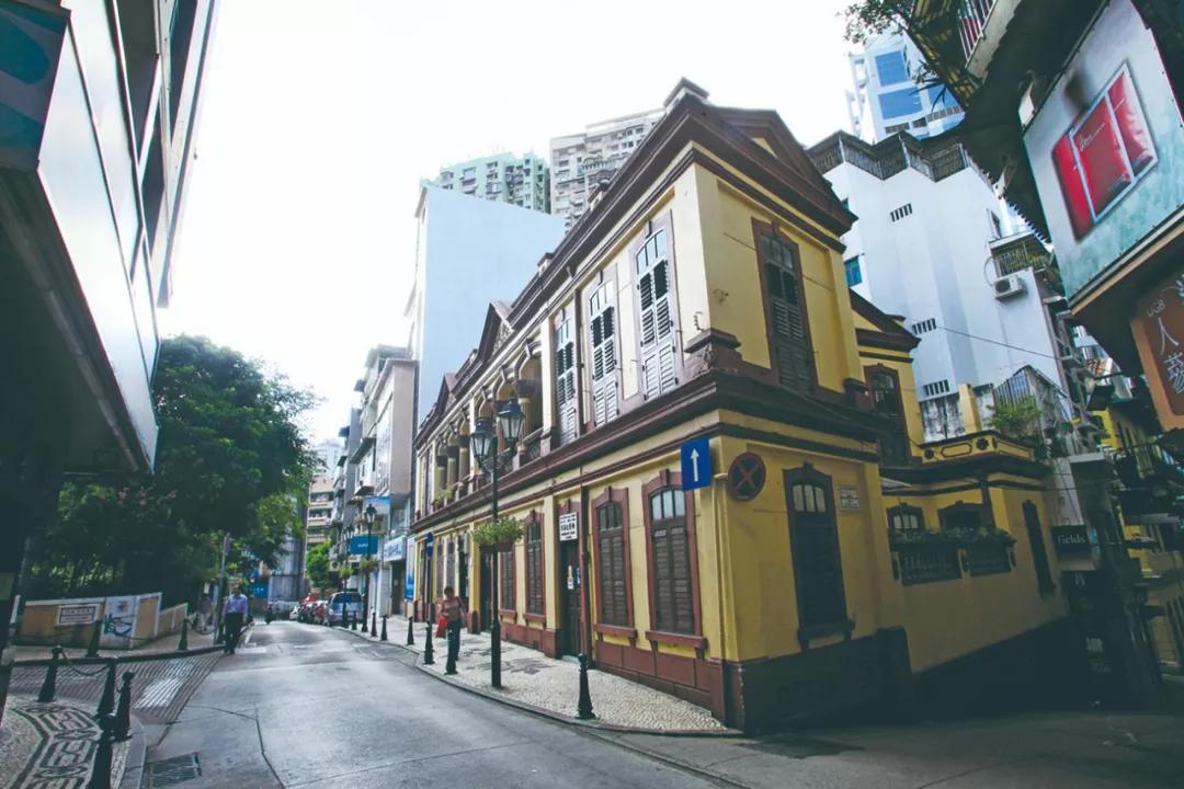 澳門今晚必開一肖，揭秘生肖運勢與預(yù)測邏輯，澳門今晚生肖預(yù)測揭秘，生肖運勢與預(yù)測邏輯分析