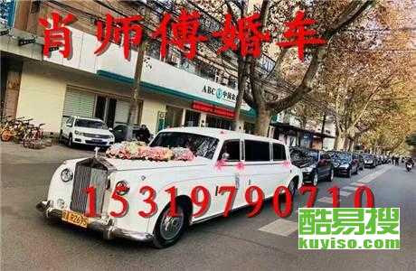 王中王車奪平特一肖免費(fèi)——深度解析與探索，王中王車奪平特一肖，深度解析與免費(fèi)探索