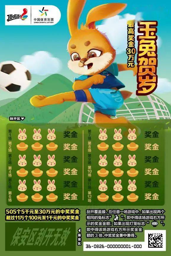 王中王一肖中特兔費(fèi)，探索關(guān)鍵詞背后的奧秘，探索關(guān)鍵詞王中王一肖中特兔費(fèi)背后的奧秘
