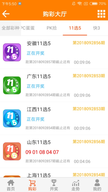 王中王論壇一平特一肖，深度解析與SEO策略，王中王論壇一平特一肖深度解析與SEO策略探討