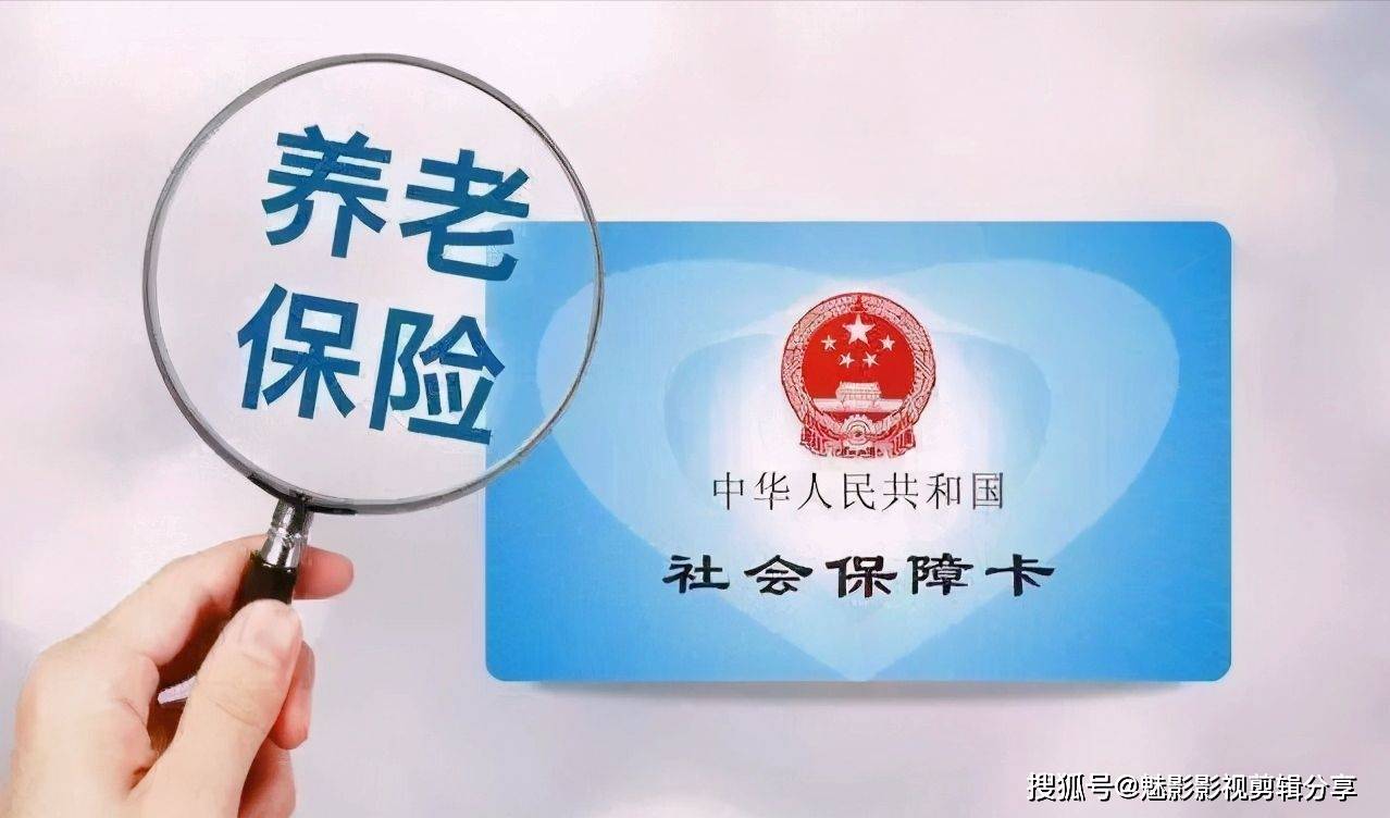 揭秘王中王一期一肖特中獎背后的秘密，王中王一期一肖特中獎背后的秘密揭秘