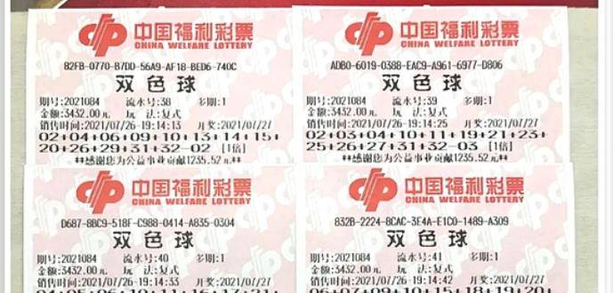 王中王084期指一生肖，解讀背后的秘密與生肖運(yùn)勢(shì)分析，王中王084期生肖揭秘，秘密解讀與運(yùn)勢(shì)展望