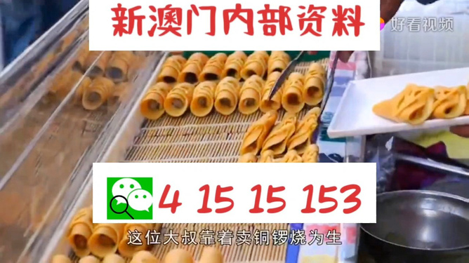 探索澳門彩票文化，新澳門天天開好彩的奧秘與未來展望（關(guān)鍵詞，新澳門天天開好彩），澳門彩票文化深度解析，新澳門天天開好彩的奧秘與未來展望