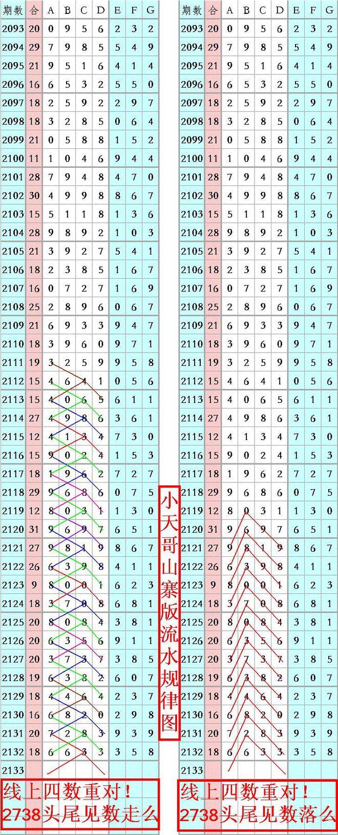 王中王資料一肖正特馬，深度解析與探索，王中王資料一肖正特馬深度解析與探索揭秘
