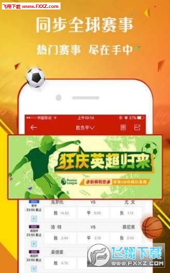 王中王一肖，歡迎您的到來，探索無與倫比的精彩世界，王中王一肖，探索無與倫比的精彩世界之旅