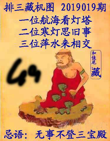 王中王019期指一生肖，深度解讀與SEO優(yōu)化策略，王中王019期生肖深度解讀與SEO策略優(yōu)化指南