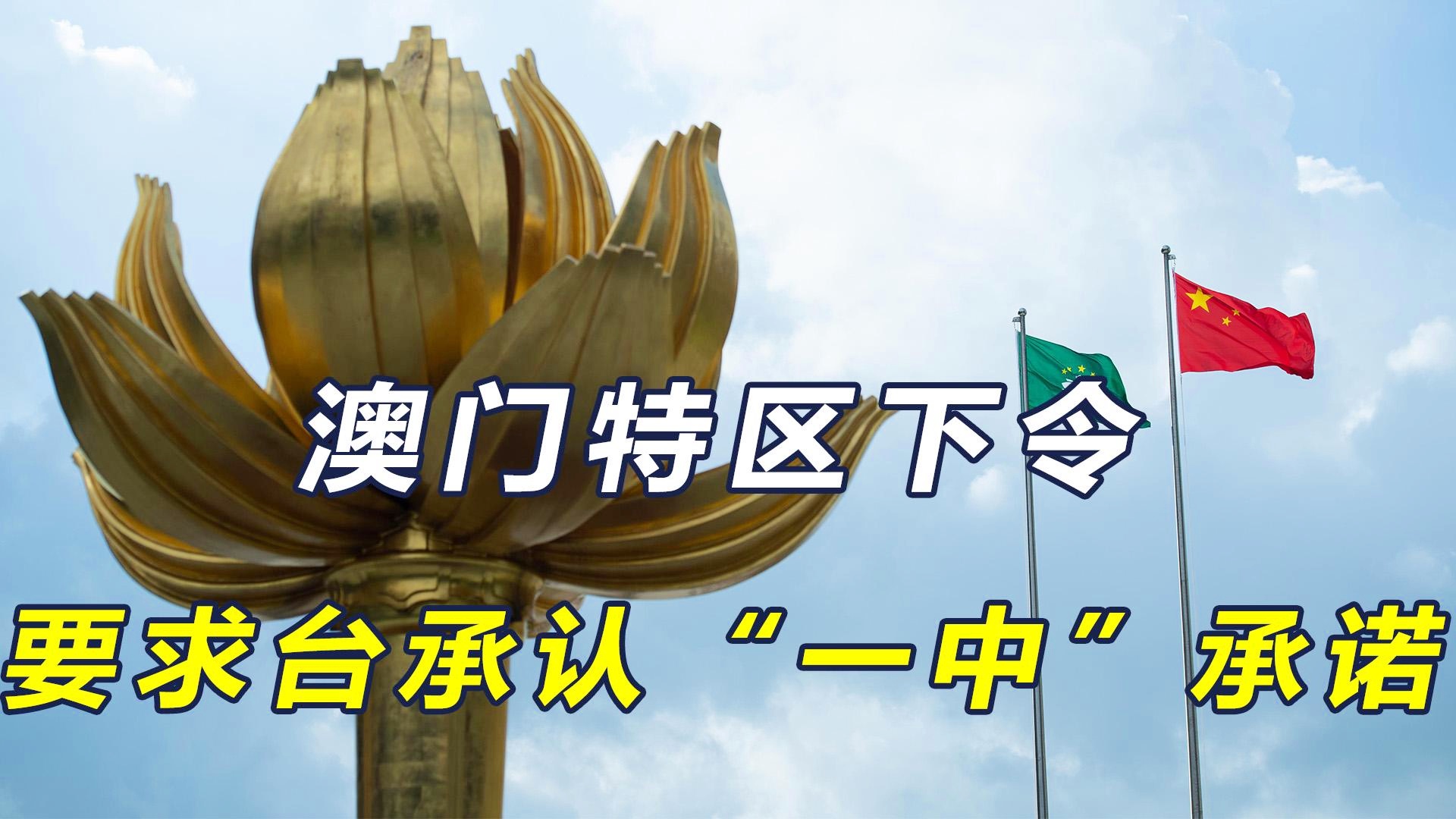澳門一碼一肖一恃一中312期，揭秘與探索彩票文化背后的秘密，澳門彩票文化揭秘，一碼一肖背后的探索與奧秘