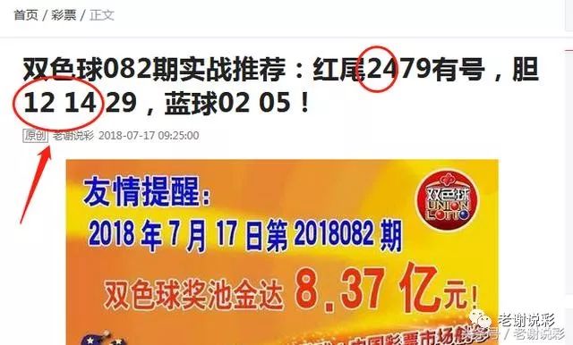 王中王082期指一生肖——探尋生肖魅力，洞悉運(yùn)勢奧秘，探尋生肖魅力，揭秘運(yùn)勢奧秘——王中王生肖運(yùn)勢解析 082期