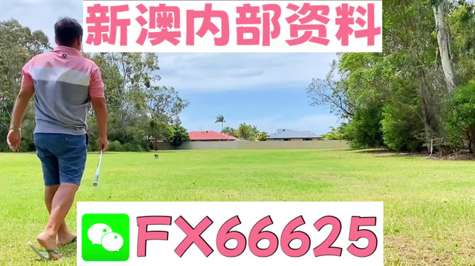 王中王一碼二肖，揭秘背后的秘密，揭秘王中王一碼二肖背后的秘密