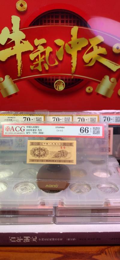 王中王平特一肖125，揭秘背后的故事與奧秘，揭秘王中王平特一肖背后的故事與奧秘 125號揭秘真相