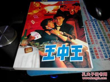 王中王資料一肖中特小說，深度解析與探索，王中王資料一肖中特小說的深度解析與探索之旅