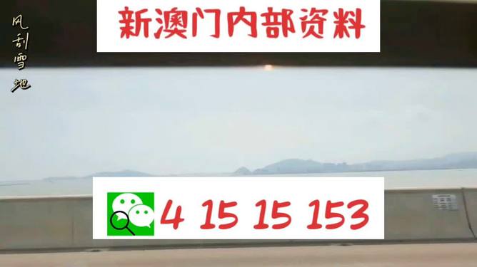 新澳2025最新資料生肖，深度解析與預(yù)測(cè)展望，新澳2025最新生肖資料深度解析與未來(lái)預(yù)測(cè)展望