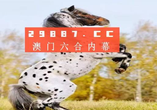 白小姐的精準免費四肖，揭秘背后的秘密，揭秘白小姐精準免費四肖背后的秘密