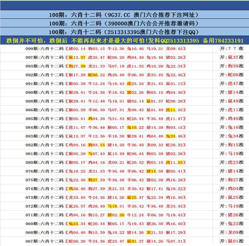 澳門無錯九肖今日搜狗，探索與解析，澳門無錯九肖今日搜狗，深度解析與探索