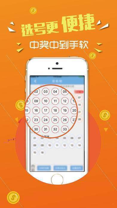 揭秘數(shù)字背后的故事，探尋王中王中的秘密與未來展望，揭秘數(shù)字背后的故事，王中王中的秘密與未來展望揭秘數(shù)字背后的故事，探尋王中王的秘密與未來展望