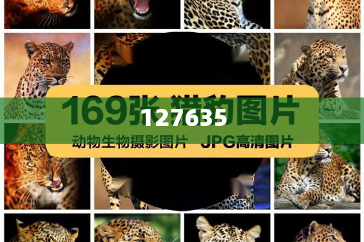 精準(zhǔn)新傳真，揭秘?cái)?shù)字組合7777788888的神秘面紗，揭秘?cái)?shù)字組合7777788888的神秘面紗，精準(zhǔn)新傳真解讀