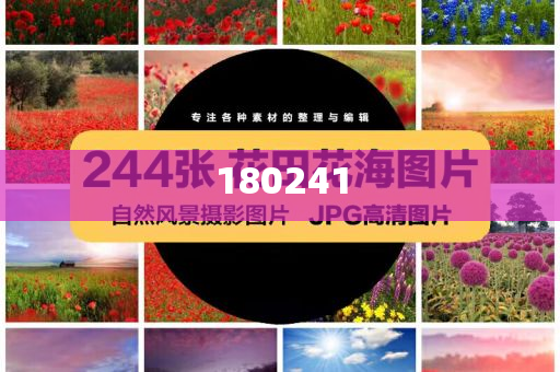 揭秘精準(zhǔn)管家婆狗，77777與88888的神秘面紗，揭秘精準(zhǔn)管家婆狗，神秘?cái)?shù)字77777與88888背后的秘密