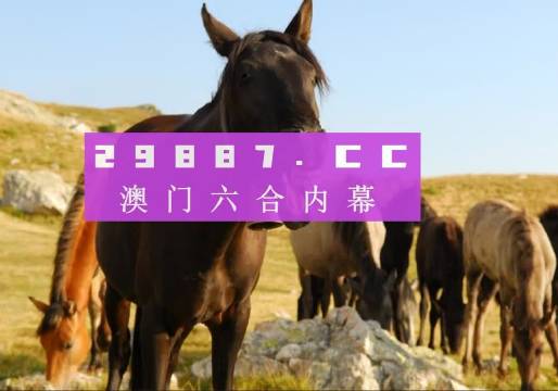 香港生肖精準(zhǔn)管家婆之7777888888精準(zhǔn)分析，香港生肖精準(zhǔn)管家婆之精準(zhǔn)分析，7777與8888的奧秘