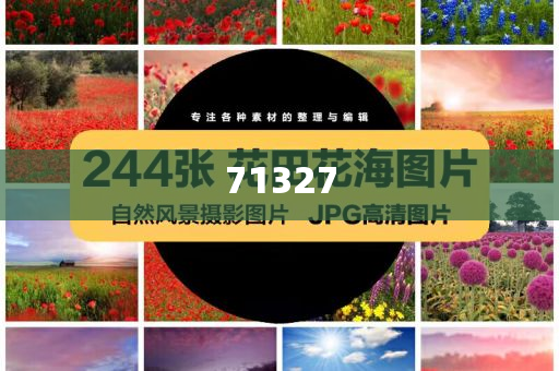 探索777788888管家婆網(wǎng)，一站式解決方案的綜合服務(wù)平臺(tái)，一站式解決方案的綜合服務(wù)平臺(tái)，探索777788888管家婆網(wǎng)