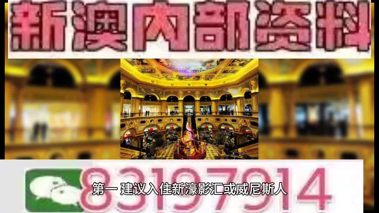 新澳門特馬王，探索與解析，新澳門特馬王，深度探索與解析