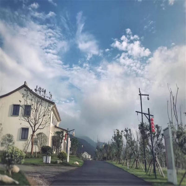 新奧今晚開(kāi)一肖一特講解詞語(yǔ)，揭秘生肖與特肖的獨(dú)特魅力，揭秘生肖與特肖的獨(dú)特魅力，新奧今晚一開(kāi)一特講解詞語(yǔ)