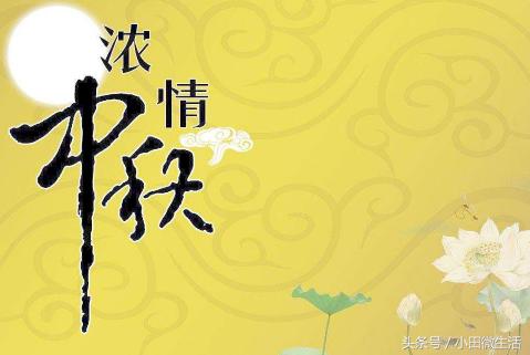 天天開好彩免費資料大全——你不可錯過的幸運之門，天天開好彩免費資料大全——開啟幸運之門的必備指南