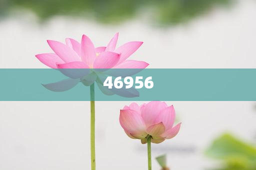新奧集團，邁向2025，天天開好彩的愿景與挑戰(zhàn)，新奧集團邁向2025，實現(xiàn)天天開好彩的愿景與挑戰(zhàn)