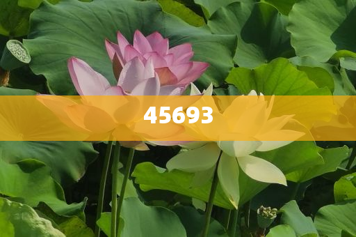 全新升級，7777888888精準新管家，全新升級管家，精準管理，一站式服務(wù) 7777888888新管家重磅來襲