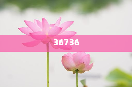 揭秘精準新傳秘籍，7777788888免費策略與SEO優(yōu)化，揭秘精準新傳秘籍，免費策略與SEO優(yōu)化指南