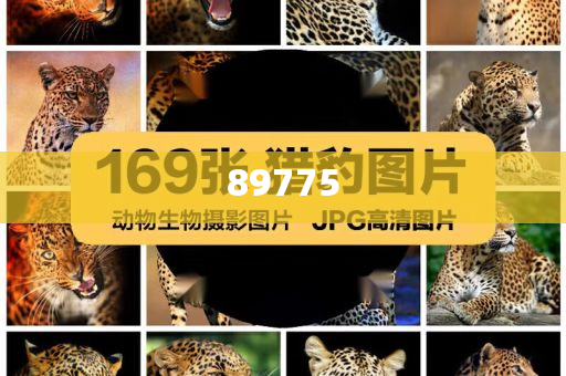關(guān)于新奧歷史開獎(jiǎng)記錄的最新信息，今天公布了嗎？，新奧歷史開獎(jiǎng)記錄最新信息公布了嗎？