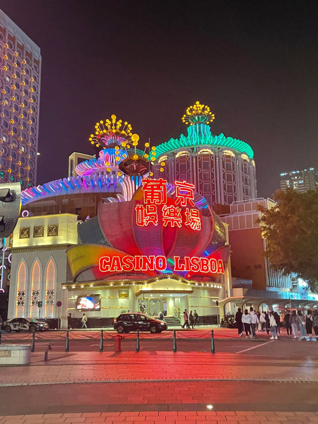澳門今晚必開一肖一特芳草地，探索生肖與運勢的神秘面紗，澳門生肖運勢揭秘，探索今晚必開一肖一特芳草地神秘面紗的運勢之旅