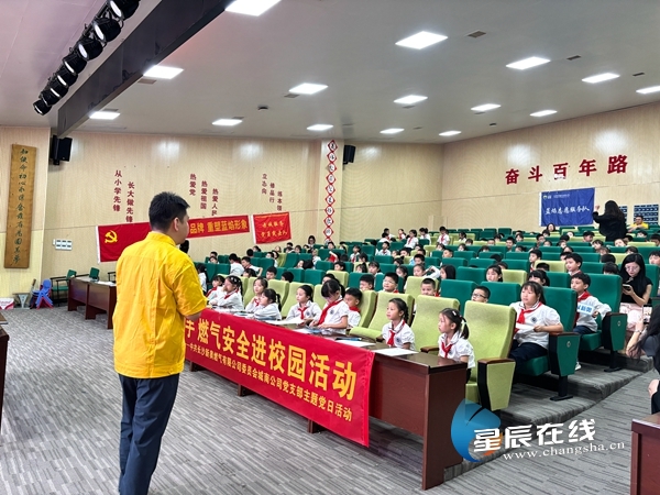 新奧49正版資料，探索與解析，新奧49正版資料深度探索與解析