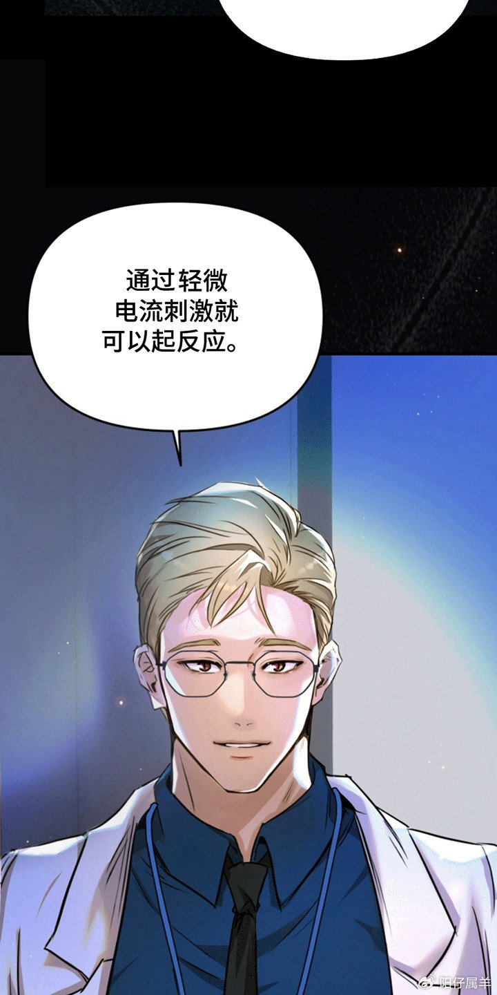 夜間診療室韓漫免費(fèi)，探索醫(yī)療與娛樂的新領(lǐng)域，夜間診療室韓漫免費(fèi)，醫(yī)療與娛樂的新領(lǐng)域探索