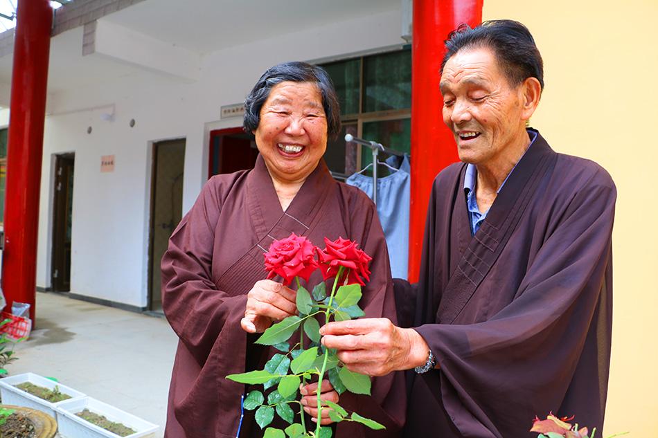 揭秘最準一碼一肖，揭秘背后的秘密與真相，鳳凰網獨家報道，獨家揭秘，最準一碼一肖背后的秘密真相（鳳凰網報道）