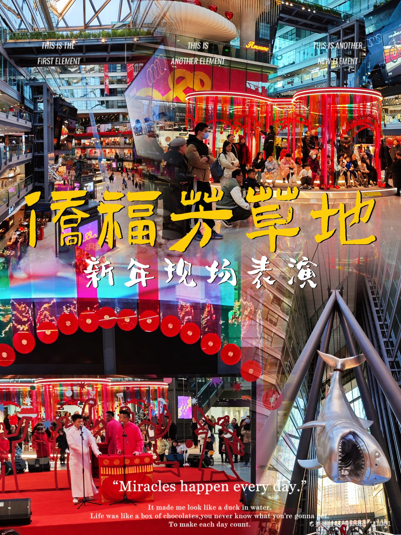 最新揭秘，2024新澳芳草地全方位資料詳解，揭秘2024新澳芳草地全方位資料，最新詳解