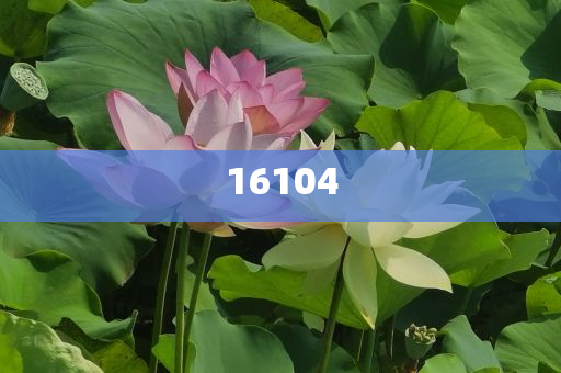 新奧600圖庫2025，探索與前瞻，新奧600圖庫2025，深度探索與未來展望