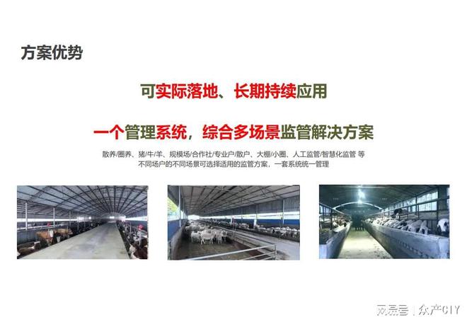 探索新澳芳草地，正版資料的免押之旅（2025年最新資訊），探索新澳芳草地，正版資料免押之旅（最新資訊）