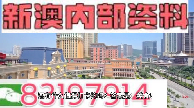 新澳門精準四肖期期中特公開下載，探索與解析，澳門精準四肖期期中特解析與探索，公開下載揭秘