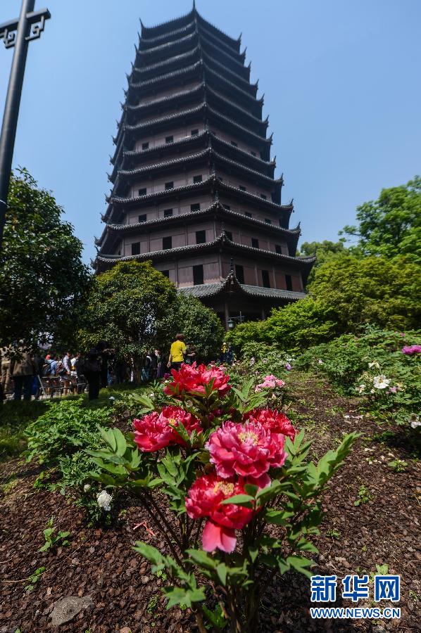 六和彩開碼資料網(wǎng)——探索彩票世界的門戶，六和彩開碼資料網(wǎng)，彩票世界探索之門