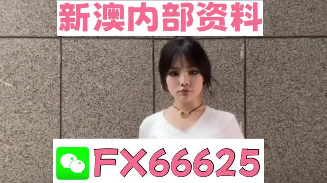 澳門資料大全正版資料查詢，探索澳門的文化與歷史深度之旅，澳門文化與歷史深度探索，正版資料大全及查詢指南